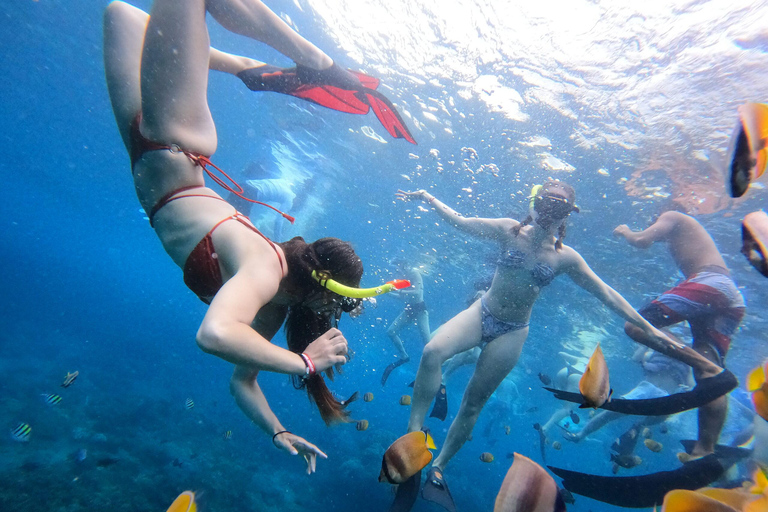 Nusa Penida: Island Sightseeing with Snorkeling and Beaches Nusa Penida West Trip + Snorkeling Sharing