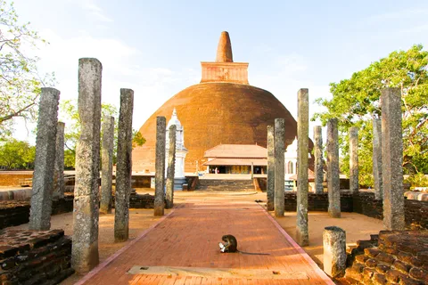 Sri Lanka: Geschiedenis, dieren, stranden, 7-daagse privétour