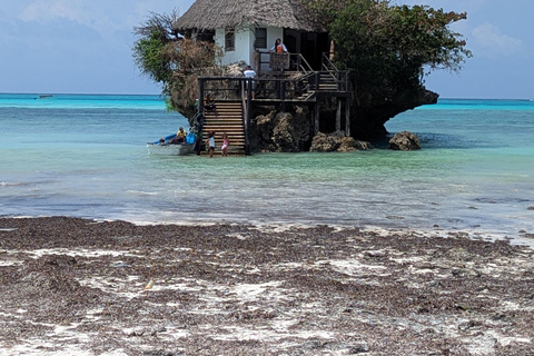 Zanzibar: The Rock, Paje Beach, Jozani Forest & Salaam Cave Prívate tour with No Hotel pick up and drop off.