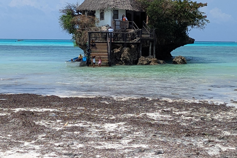 Zanzibar: The Rock, Paje Beach, Jozani Forest & Salaam Cave Prívate tour with No Hotel pick up and drop off.