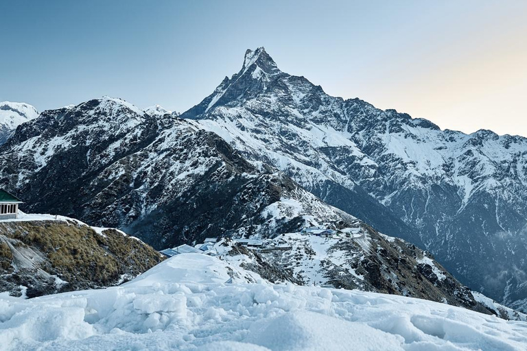 Népal : Trek du Mardi Himal - 7 jours (meilleurs treks courts au Népal)Trek du Mardi Himal : services de guide uniquement