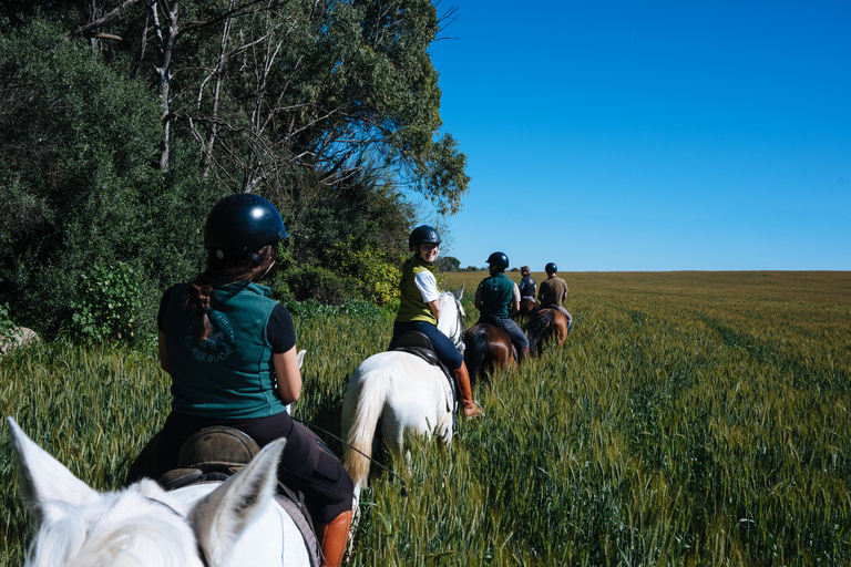 Horseback ride around Doñana National Park Horseback riding around Doñana National Park