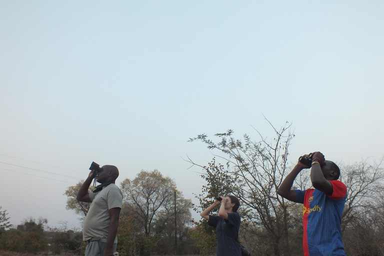 Birdwatching Livingstone Zambezi River with Sunrise