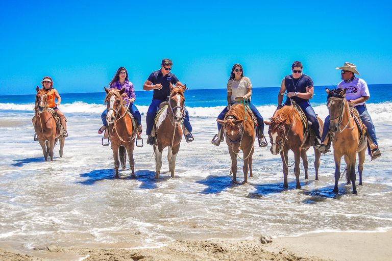 Cabo San Lucas: Reiten in Migriño mit Transfers