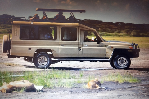 Ngorongoro Crater Day Trip- Full Game Drive