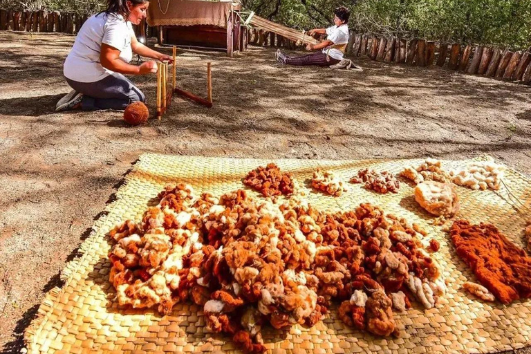 Pirâmides de Túcume e aventura no Bosque Pomac