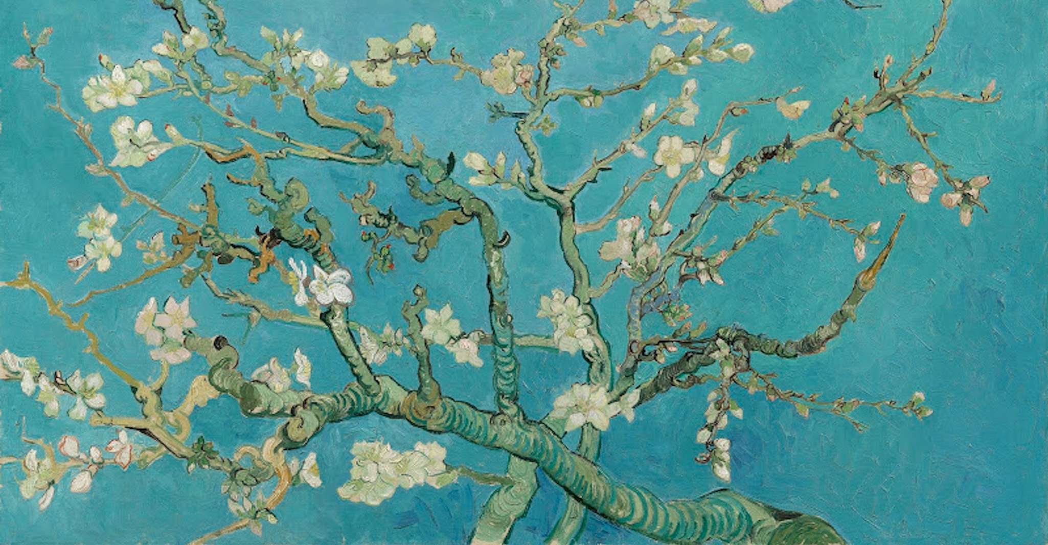 Amsterdam, Van Gogh Museum Entry Ticket and Guided Tour - Housity