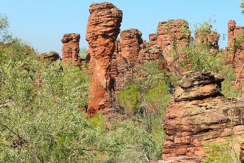 Darwin till Cairns: Kakadu &amp; Gulf Savannah 11-dagars rundtur