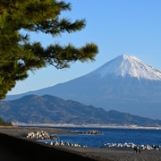 Shimizu: Private Shore Excursion with cruise port pickup