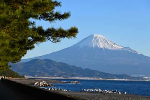 Shimizu: Private Shore Excursion with cruise port pickup - Image 3