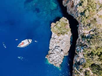 Lefkada: Private Marine Wildlife tour