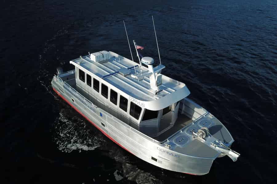 Juneau: 3,5-stündige Kleingruppentour Whale Watching. Foto: GetYourGuide Juneau: 3,5-stündige Kleingruppentour Whale Watching. Foto: GetYourGuide