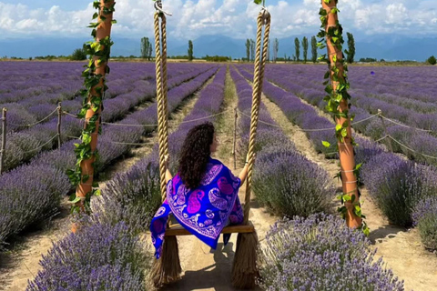 Gabala Lavender Fields Tour