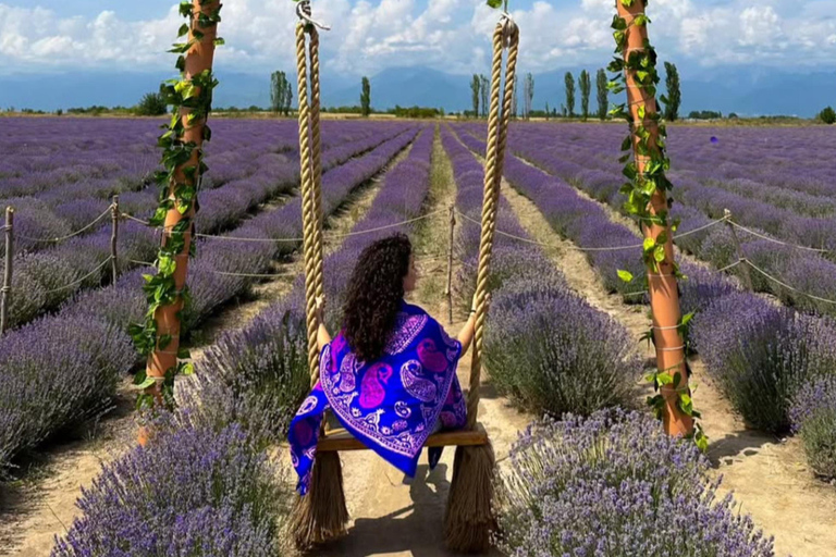 Gabala Lavender Fields Tour
