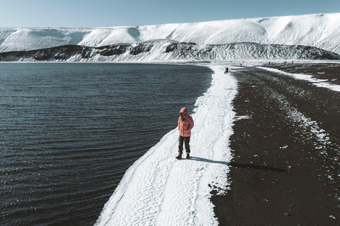 From Reykjavik: Volcanic Peninsula & Grindavik Minibus Tour