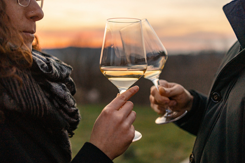 Langhe: Sunset Truffle Hunting with Tasting and Wine