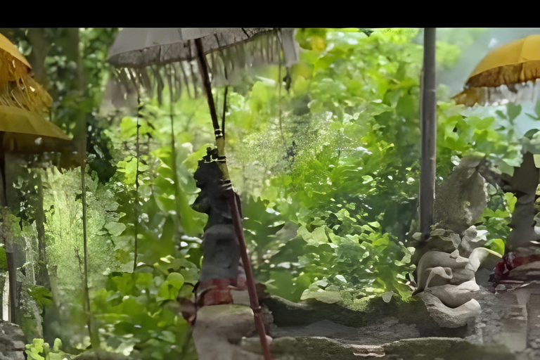 Ritual Melukat en la cascada de Taman Beji Griya