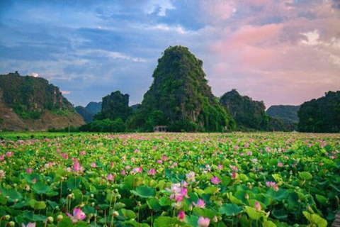 Von Hanoi: Ninh Binh - Bai Dinh &amp; Trang An &amp; Mua Höhle TourPrivate Tour