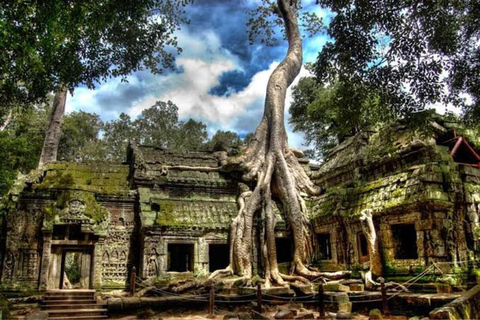 Angkor Wat & Must-See Temples Private Tour by Tuk Tuk Add Sunrise Tour Option