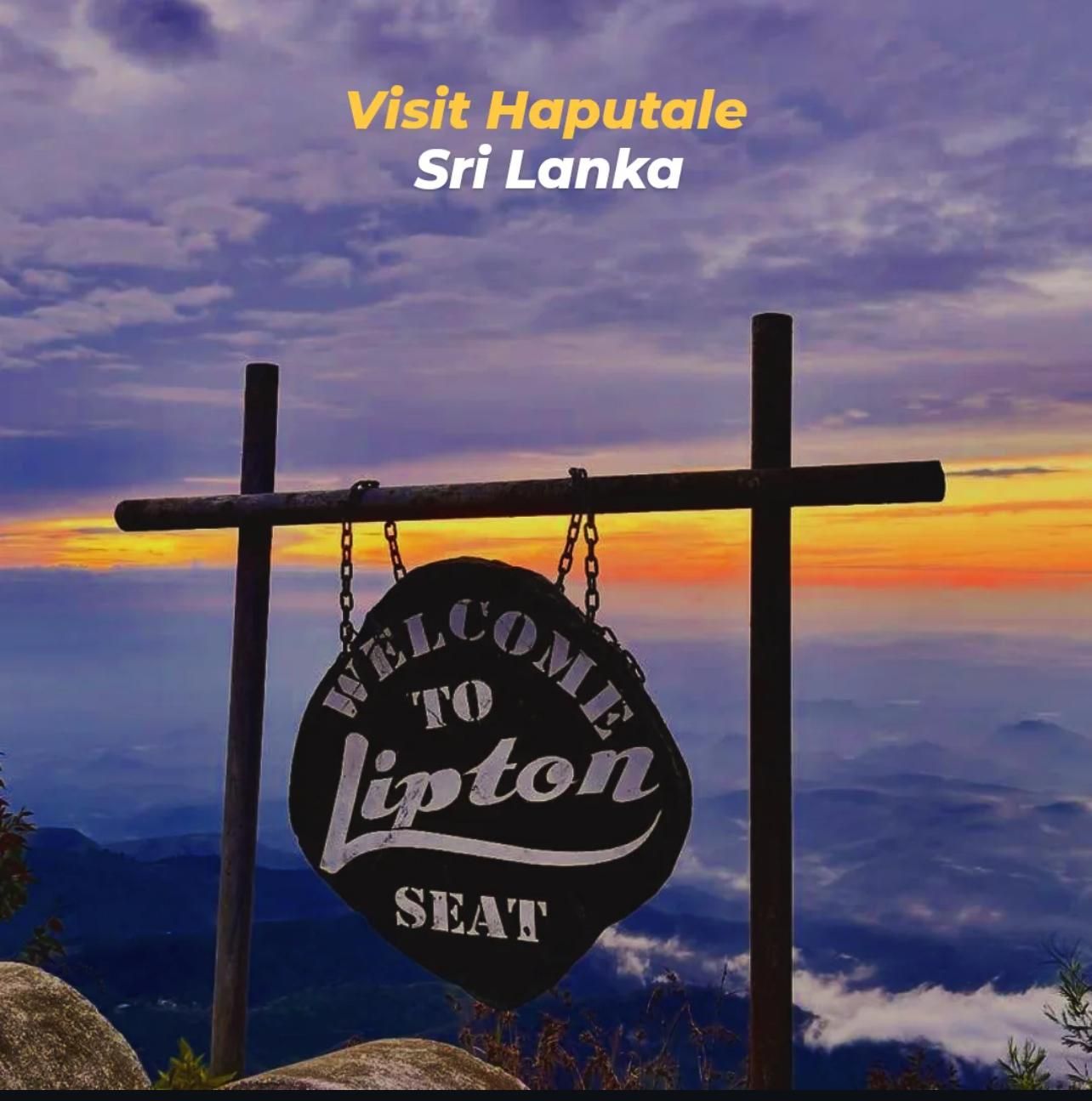 Ab Colombo/Negombo zum Lipton’s Seat & zur Teefabrik – Tagestour