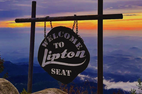 Kandy to Lipton’s Seat & Ella & Tea Factory – Day Tour