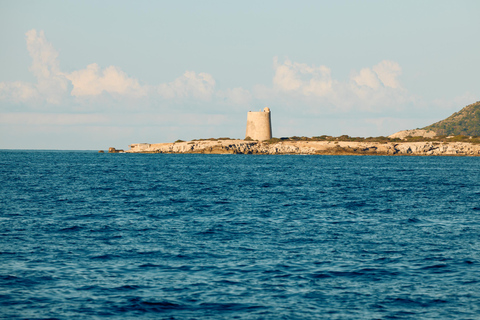 Ibiza: Formentera Boat Trip with Food, Drinks, & Bike Tour All- Inclusive Boat&Bike Tour in Formentera I Origin Edition