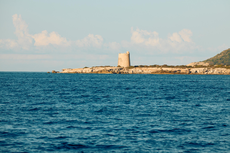 Ibiza: Formentera Boat Trip with Food, Drinks, & Bike Tour All- Inclusive Boat&Bike Tour in Formentera I Origin Edition