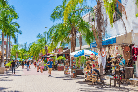 Cancun/Puerto Morelos: Wycieczka do Tulum, Cenote i Playa del CarmenCancun/Puerto Morelos: Wycieczka, udogodnienia + lunch w pudełku + napoje