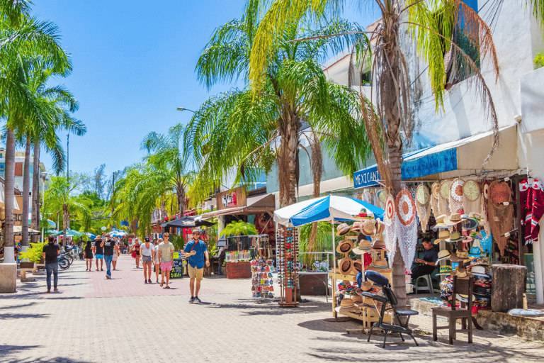Cancun/Puerto Morelos: Wycieczka do Tulum, Cenote i Playa del CarmenCancun/Puerto Morelos: Wycieczka, udogodnienia + lunch w pudełku + napoje
