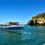 Dublin: Ireland's Eye and Howth Coast Boat Tour Dublin: Ireland's Eye and Howth Coast Boat Tour