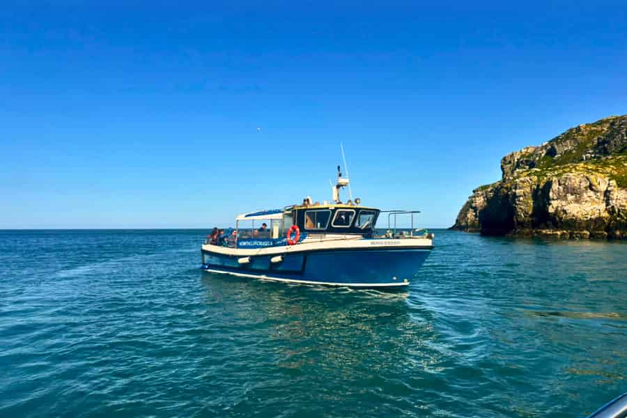 Dublin: „Ireland's Eye“ und Howth-Küste – Bootstour. Foto: GetYourGuide