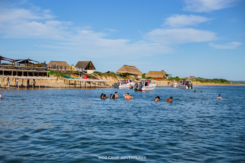 Maputo: Whale Watching, Day Trip