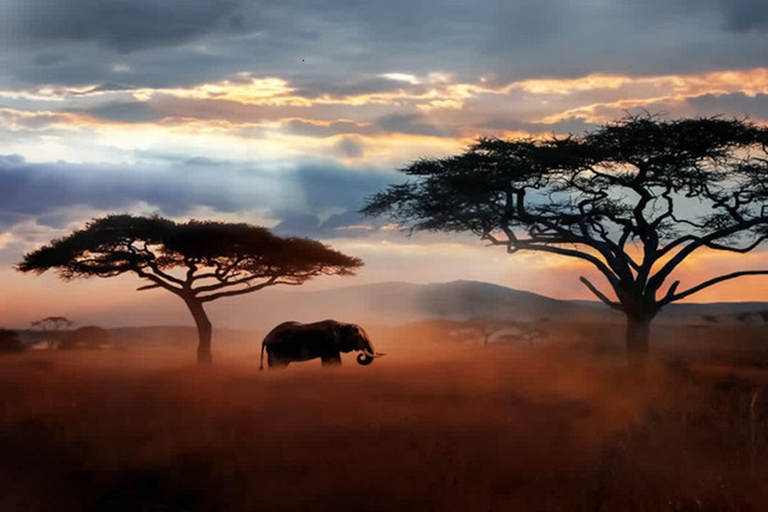 Os melhores 5 dias no Parque Nacional do Serengeti