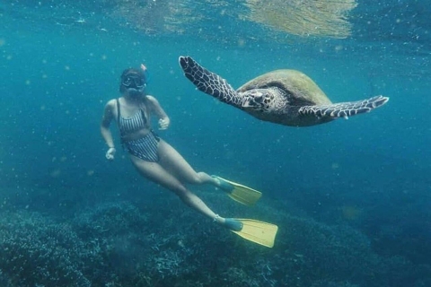 Snorkeling z żółwiami w Mirissie