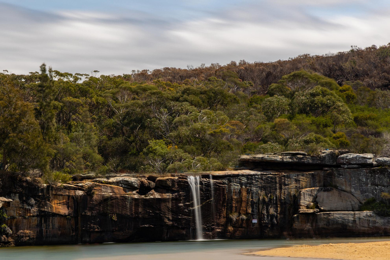 Sydney: Royal National Park tour with picnic RNP Private Tour