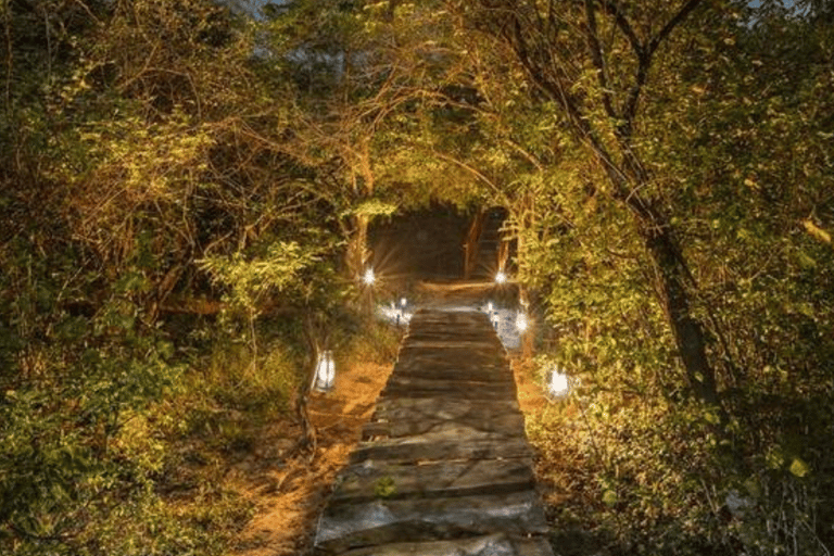 Expedição fotográfica e acampamento de luxo de quatro dias