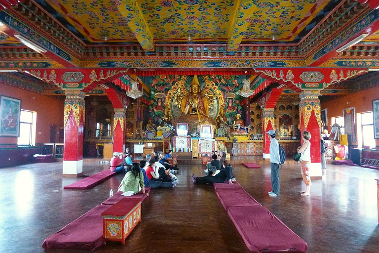 Kathmandu: Full-Day Guided Tour with Lunch and Dinner