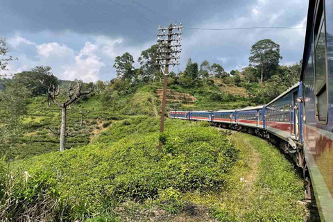 Beyond the Rails: Curated Scenic Journey from Kandy to Ella