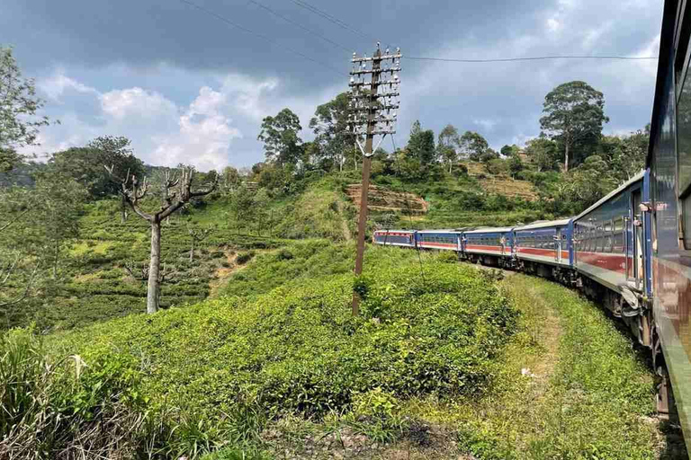 Beyond the Rails: Curated Scenic Journey from Kandy to Ella