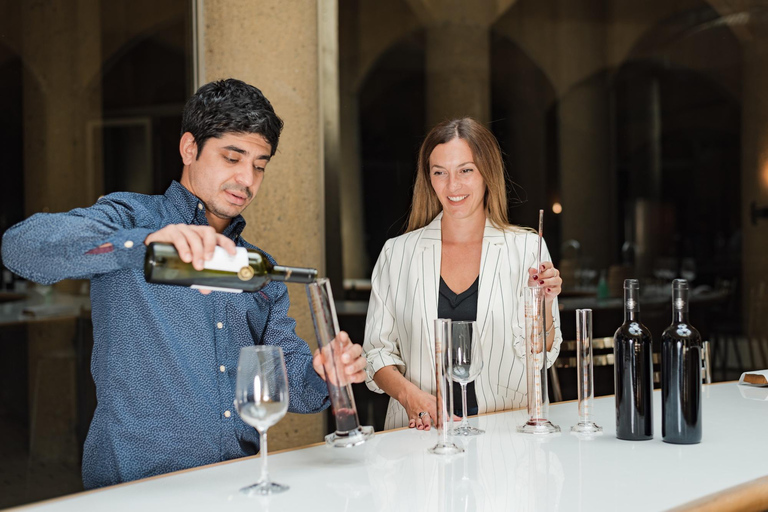 Expérience Haras : escapade dans les vignobles, vin et dégustationsExpérience Icono – 4 dégustations de vin