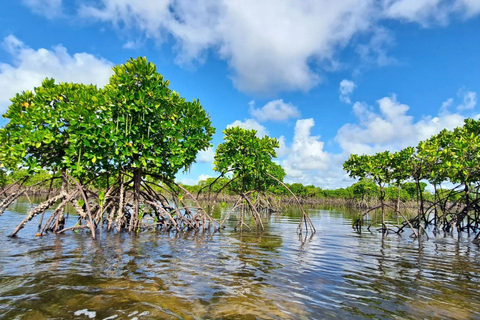 Pungume Island, Pungume Beach, sandbank BBQ och snorklingPungume-ön, Pungume-stranden, sandbank BBQ och snorkling