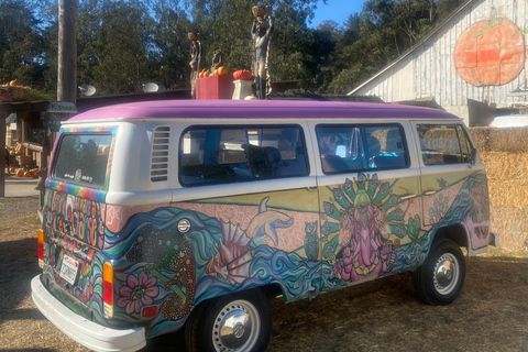 San Francisco: VW Hippie Bus Private Experience