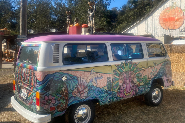 San Francisco: VW Hippie Bus Private Experience