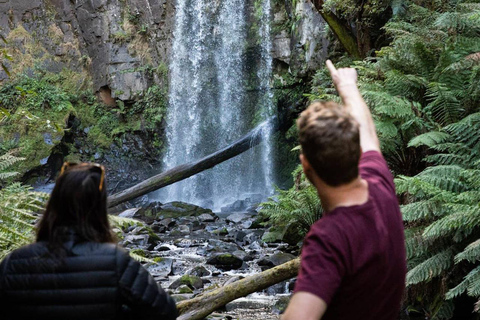 Melbourne: Twelve Apostles&Great Ocean Road,Find Koala Tour