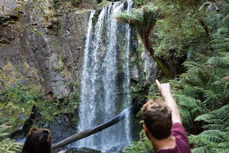 Melbourne: Twelve Apostles&Great Ocean Road,Find Koala Tour