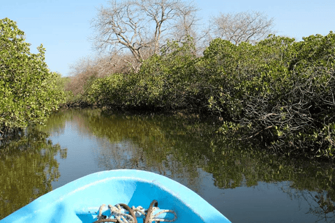 Sine Saloum: Shell Island and Bird Sanctuary