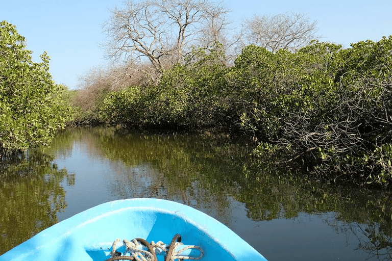 Sine Saloum: Shell Island and Bird Sanctuary