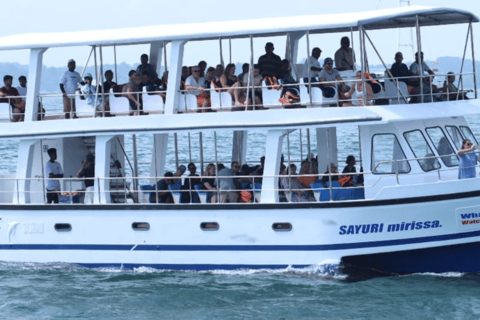 Mirissa Whale Watching Tour with Free breakfast onboard