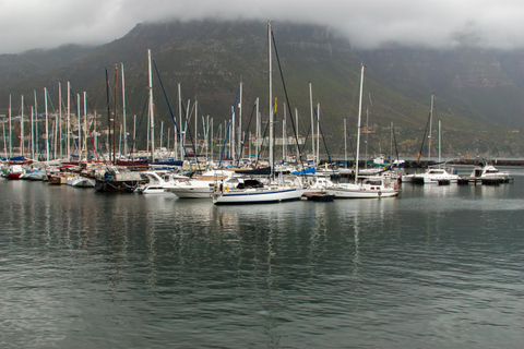 Hermanus Whale Watching Boat Trip and Wine Tasting