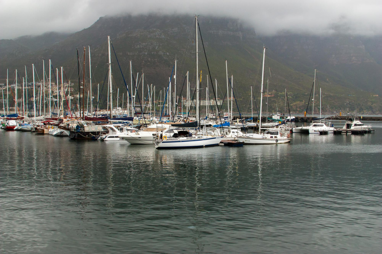 Hermanus Whale Watching Boat Trip and Wine Tasting